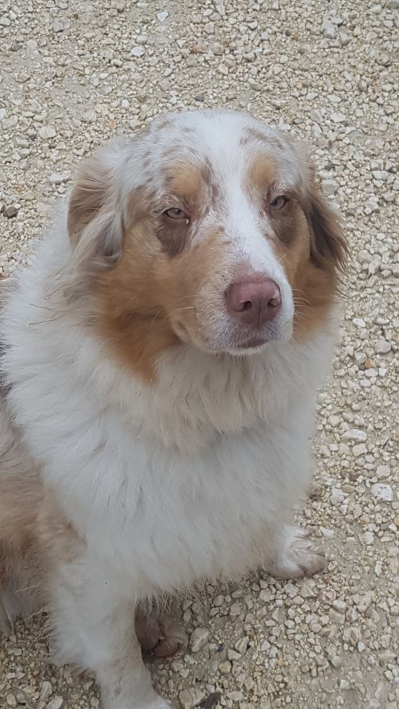 Oxane (Sans Affixe)
